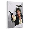 Seagate Game Drive Han Solo™ Special Edition FireCuda external hard drive