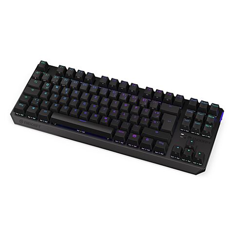 ENDORFY Thock TKL toetsenbord Gamen RF draadloos + USB QWERTZ Duits Zwart